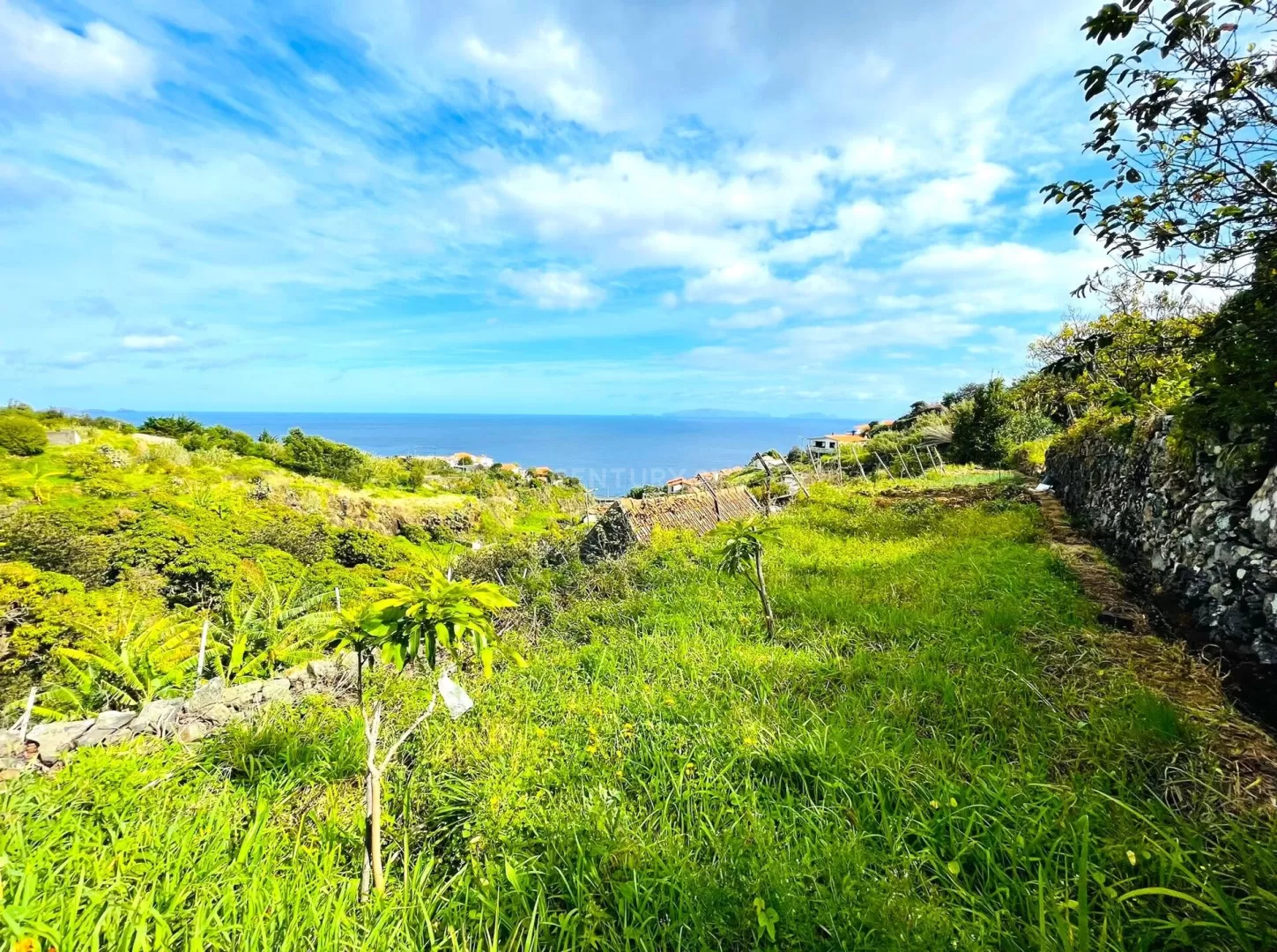 Terreno com palheiro - Santa Cruz
