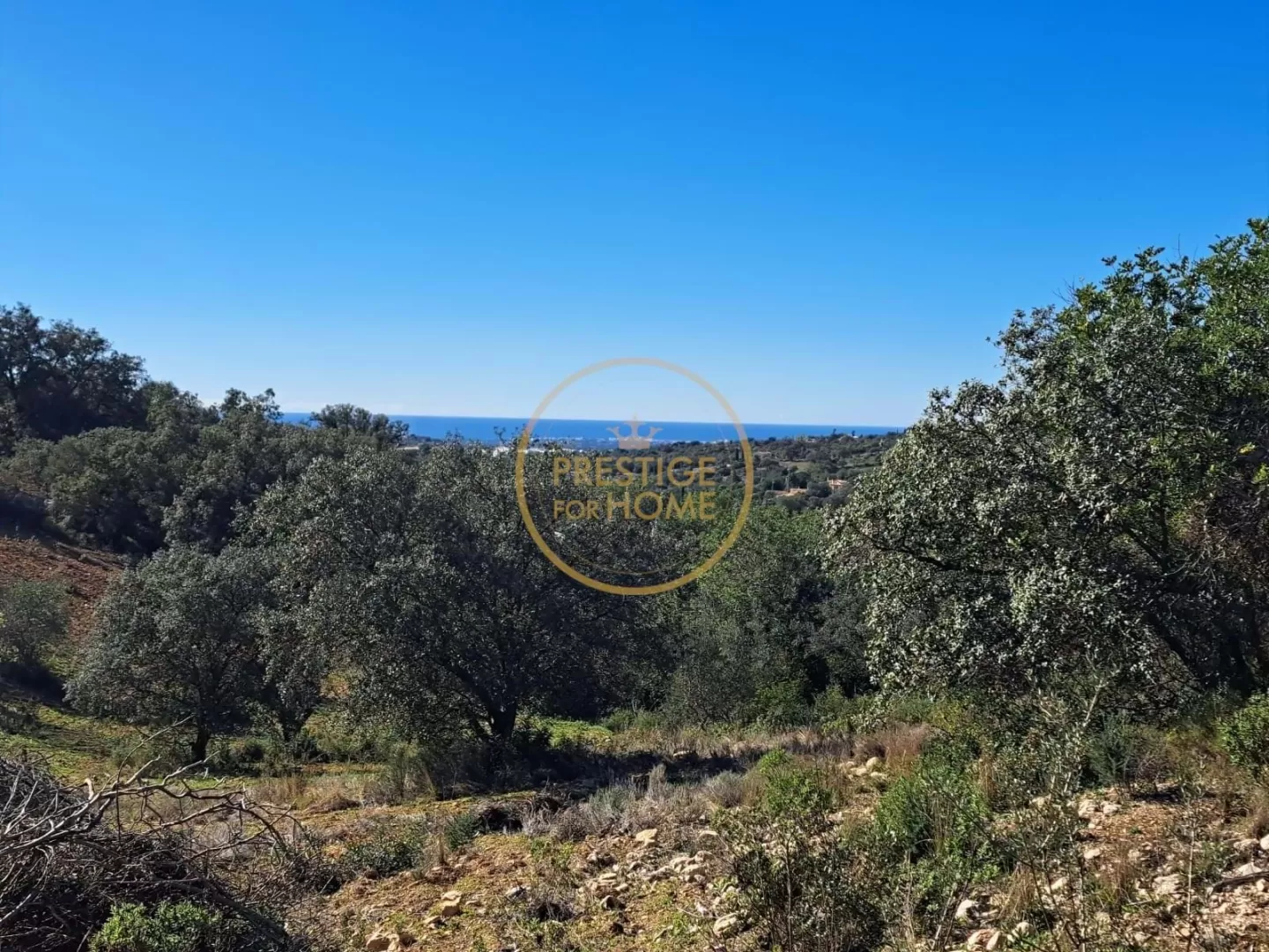 Terreno com ruína - Vista Mar  - 5 min de Loulé